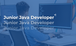 Junior Java Developer