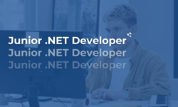 Junior .NET Developer