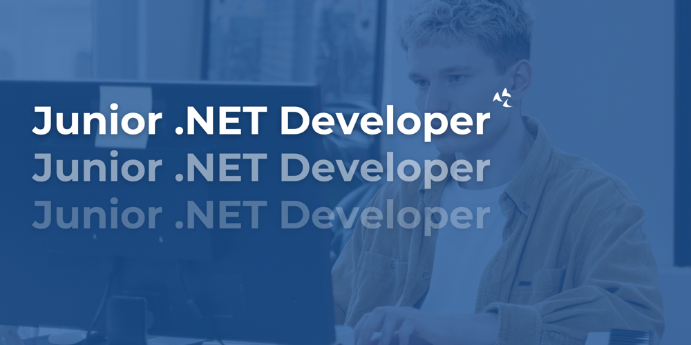 Junior .NET Developer